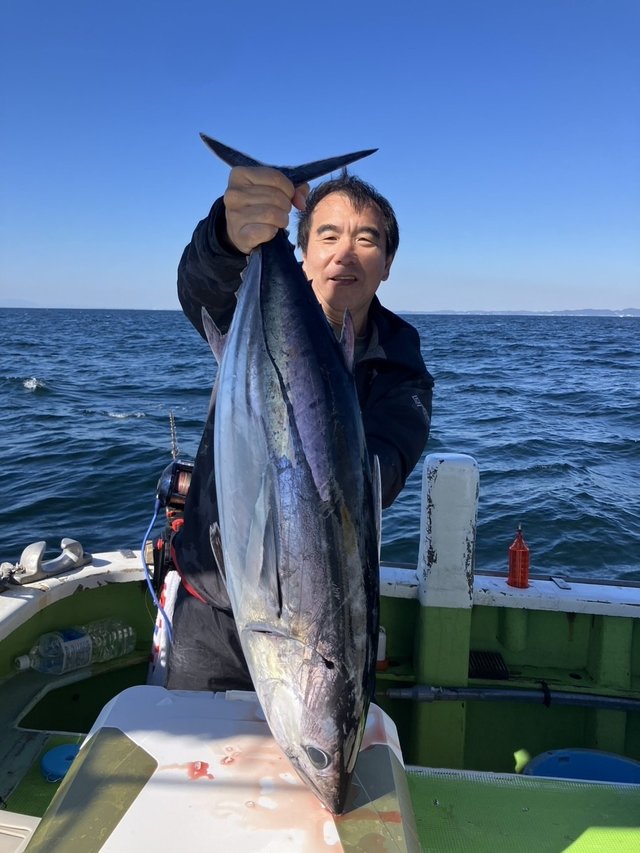 ホンガツオ(カツオ)