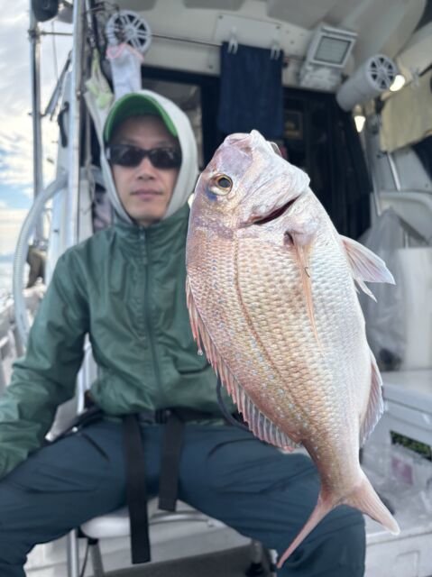 マダイ