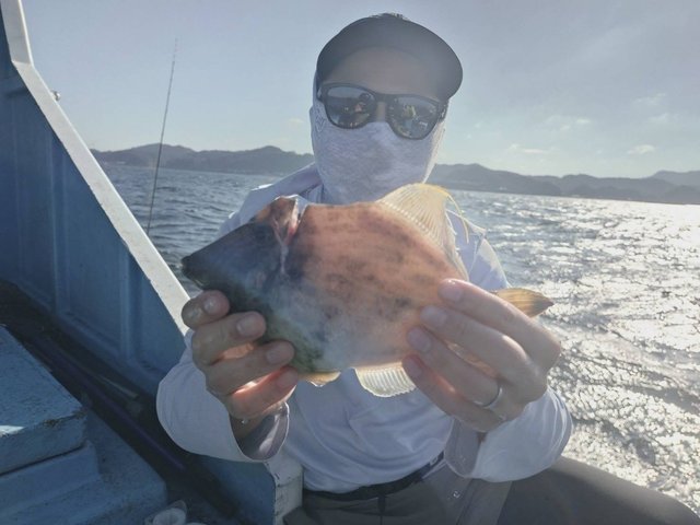 カワハギ