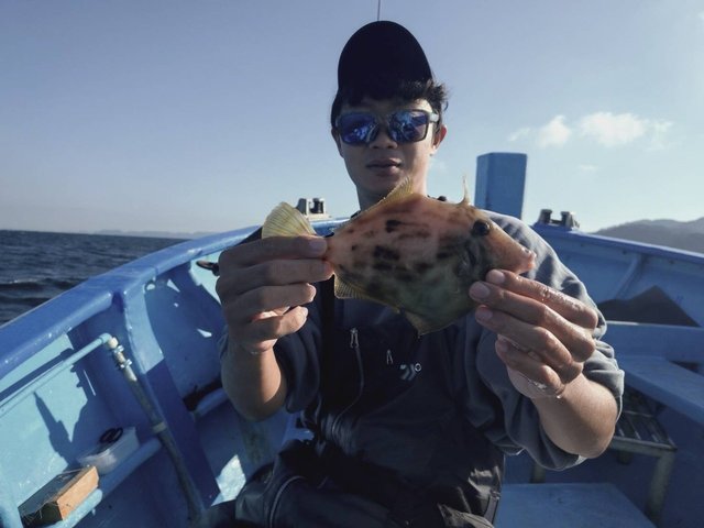 カワハギ