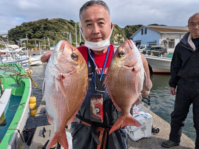 マダイ