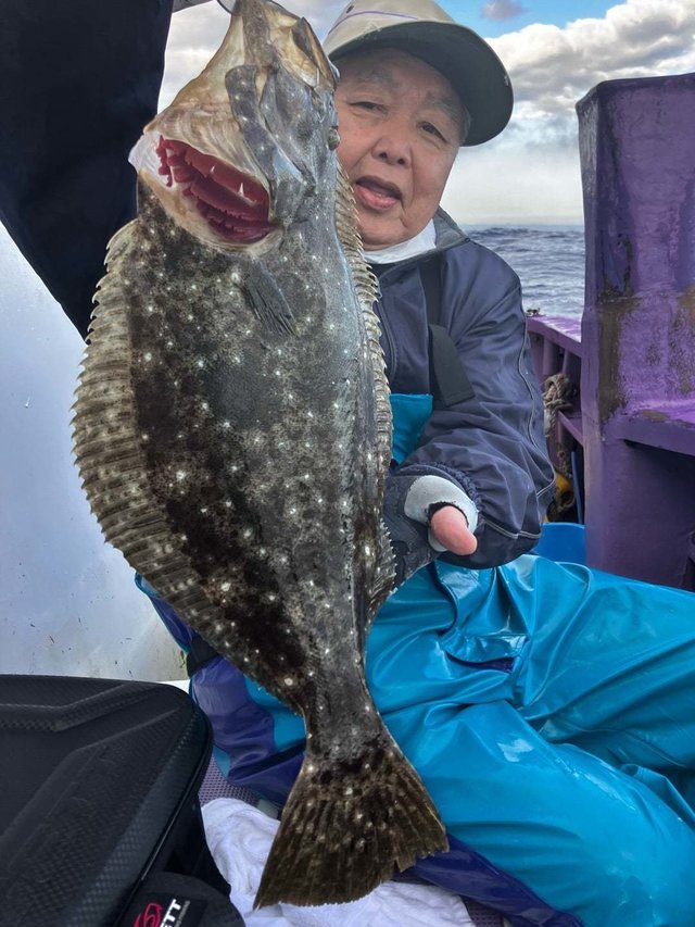 ヒラメ