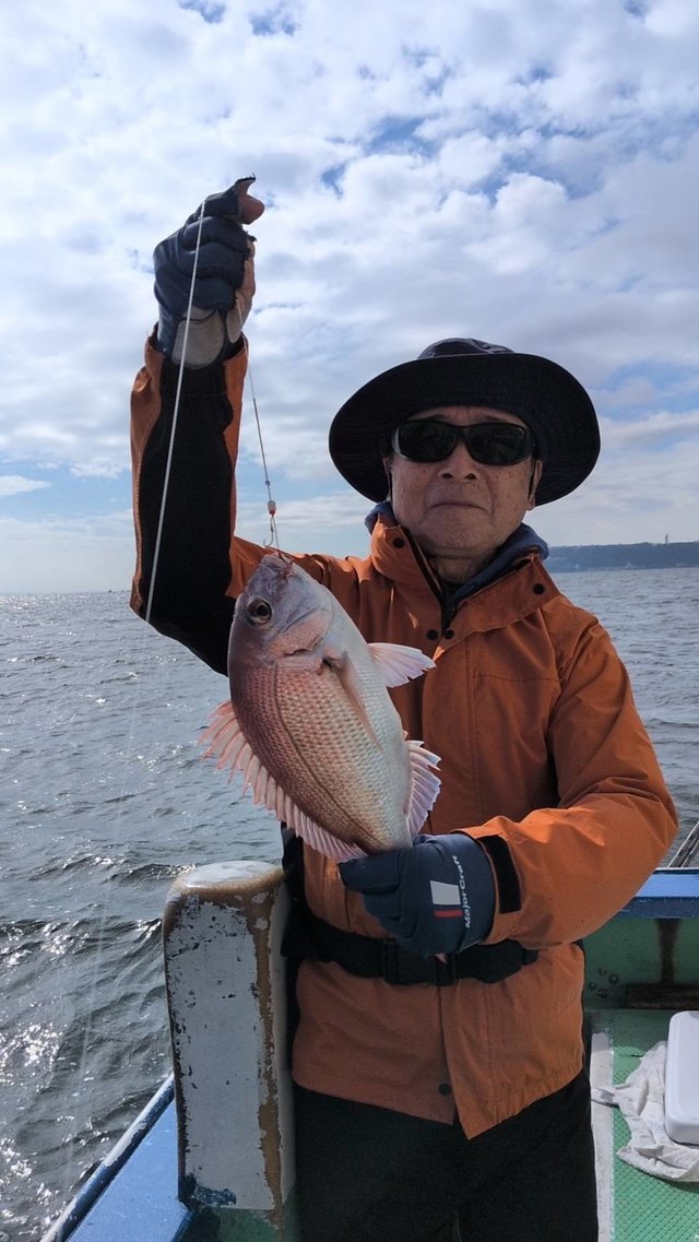 マダイ