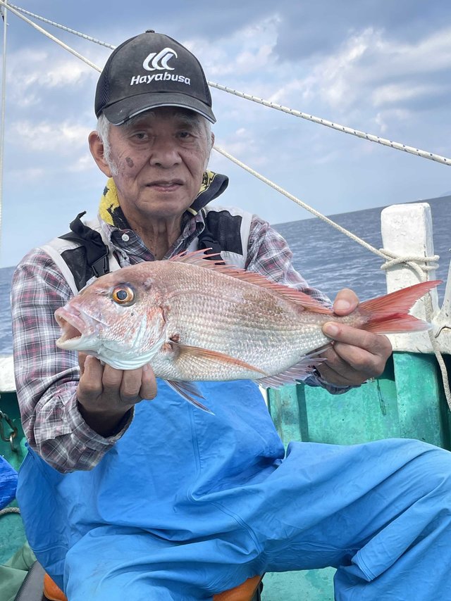 マダイ