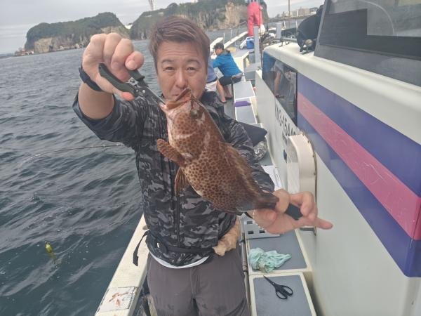 オオモンハタ