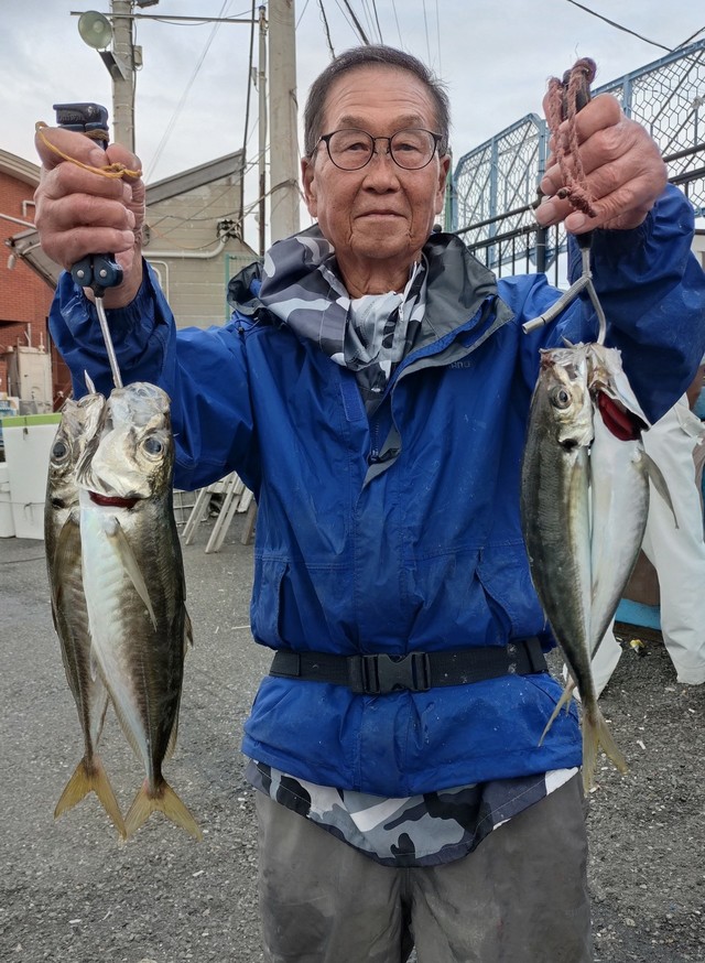 アジ(マアジ)