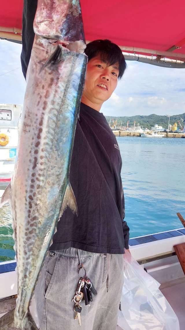 サワラ