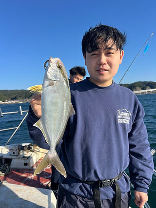 ショゴ(カンパチ)