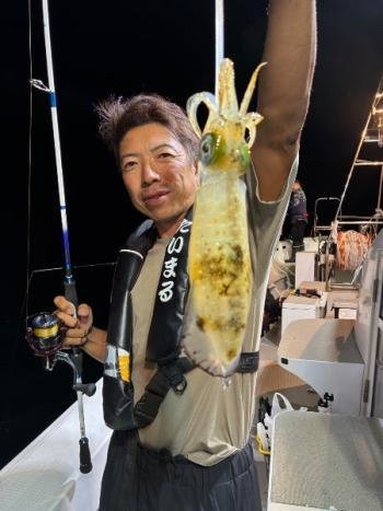 アオリイカ