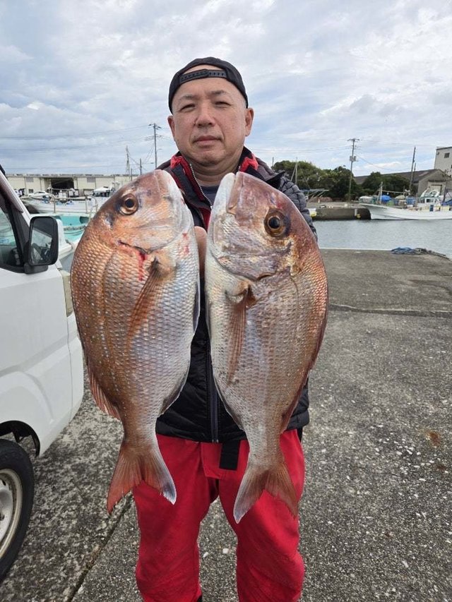 マダイ