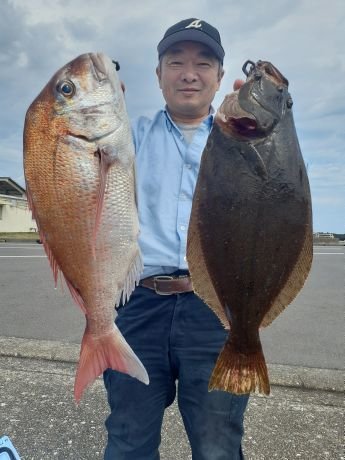 マダイ・ヒラメ