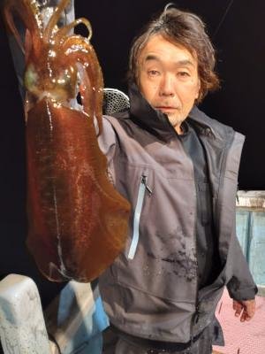 アオリイカ