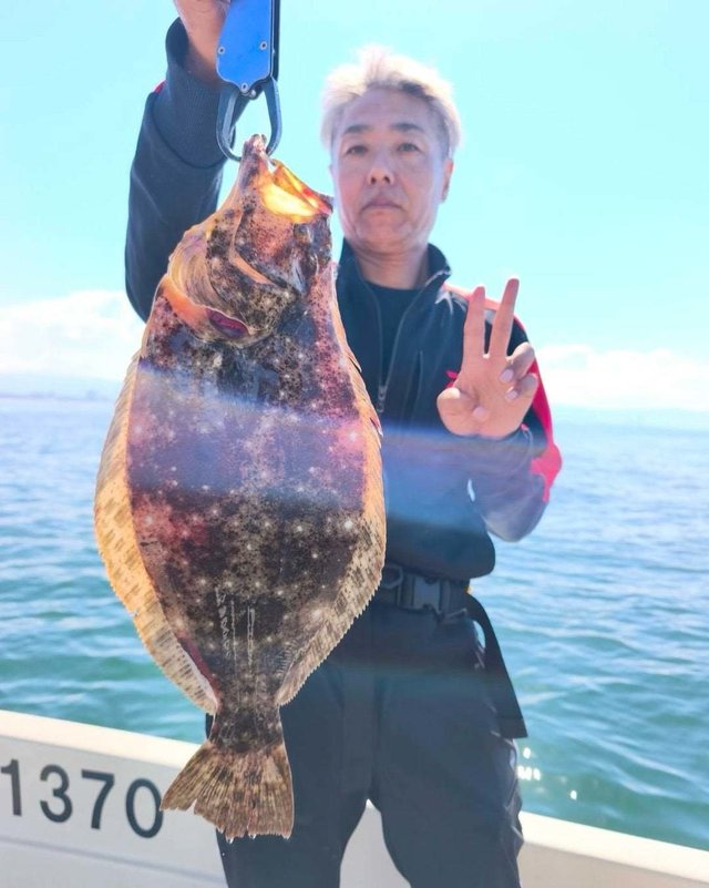 ヒラメ