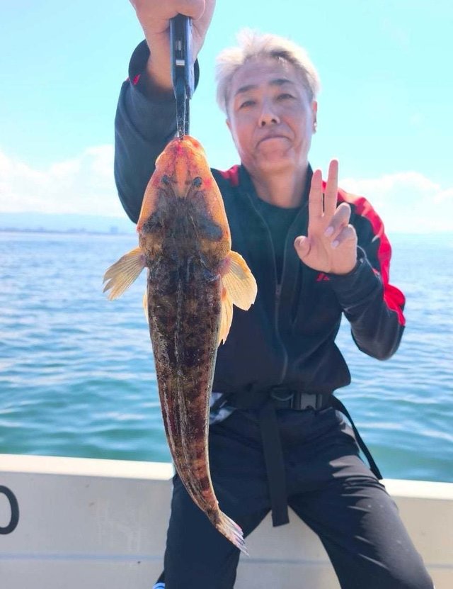 マゴチ