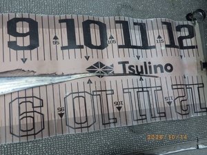 タチウオ