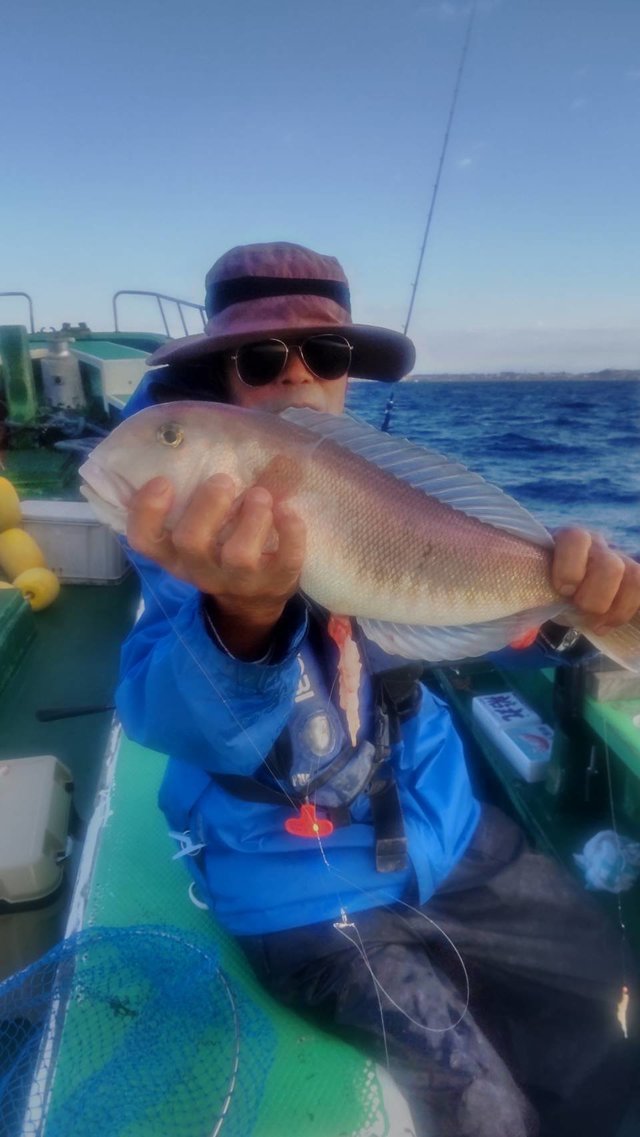 シロアマダイ