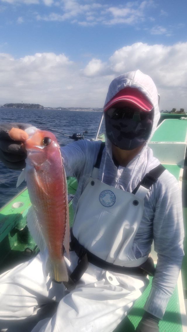 アマダイ(アカアマダイ)