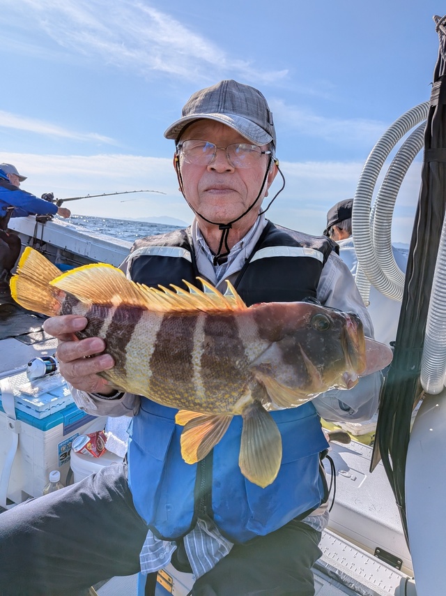 アオナ(アオハタ)