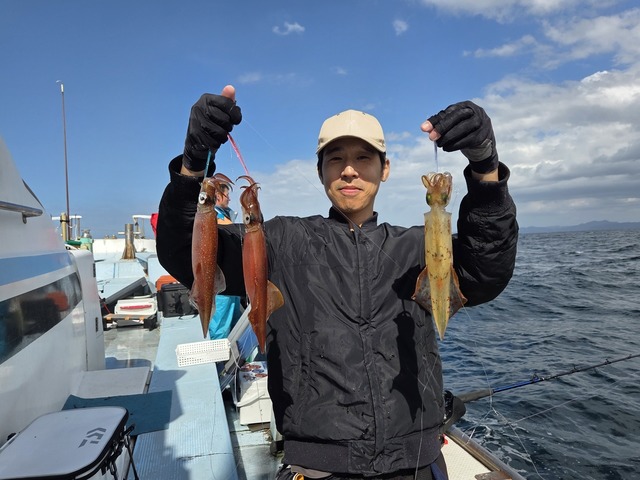 ヤリイカ