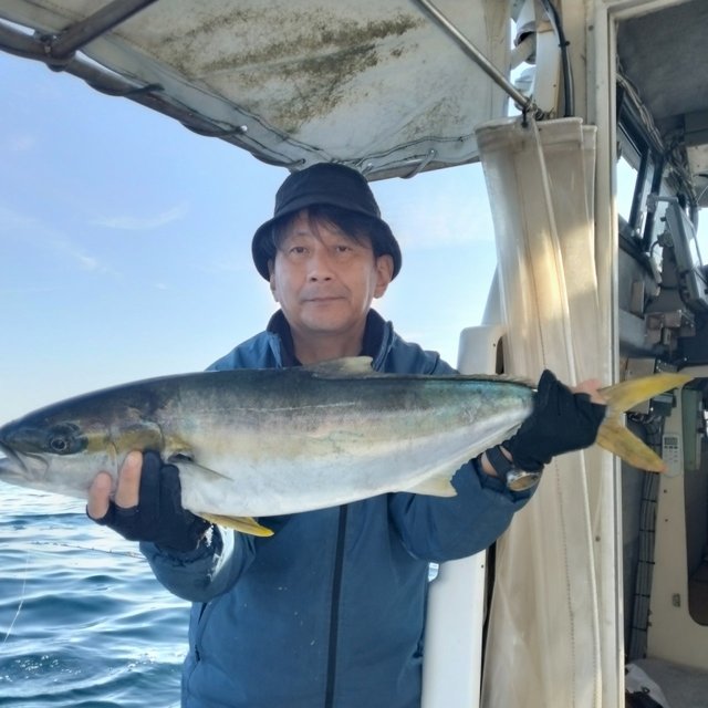 ヒラマサ