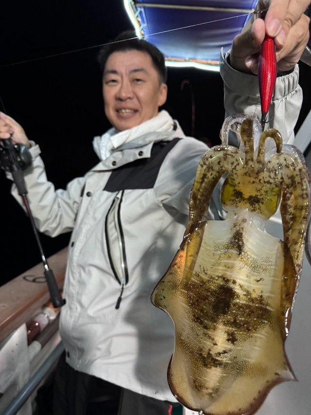 アオリイカ