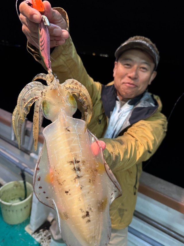 アオリイカ