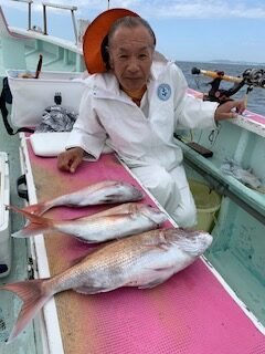 マダイ