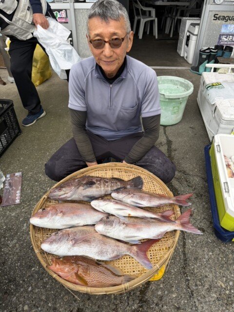 マダイ・マハタ・キジハタ