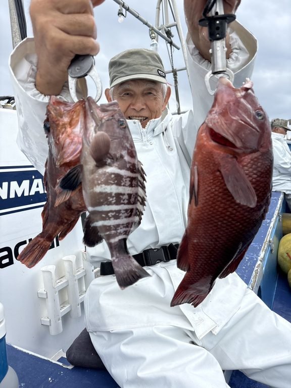 マハタ・カンダイ(コブダイ)・カサゴ