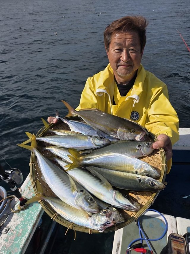 アジ(マアジ)