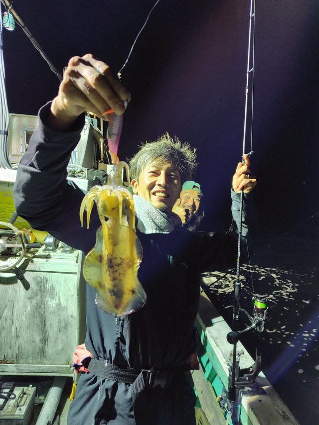 アオリイカ