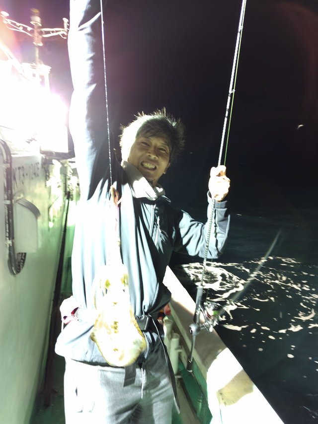 アオリイカ
