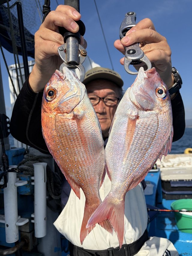 マダイ