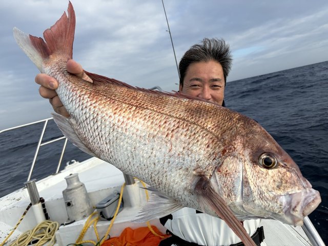 マダイ