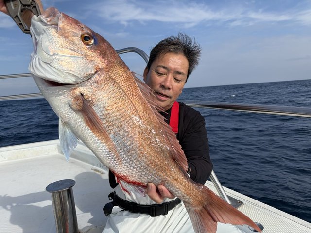 マダイ