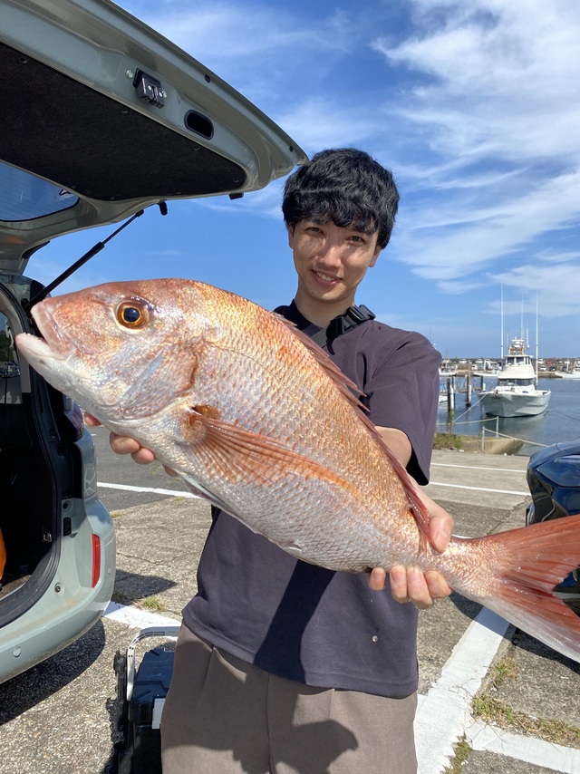 マダイ