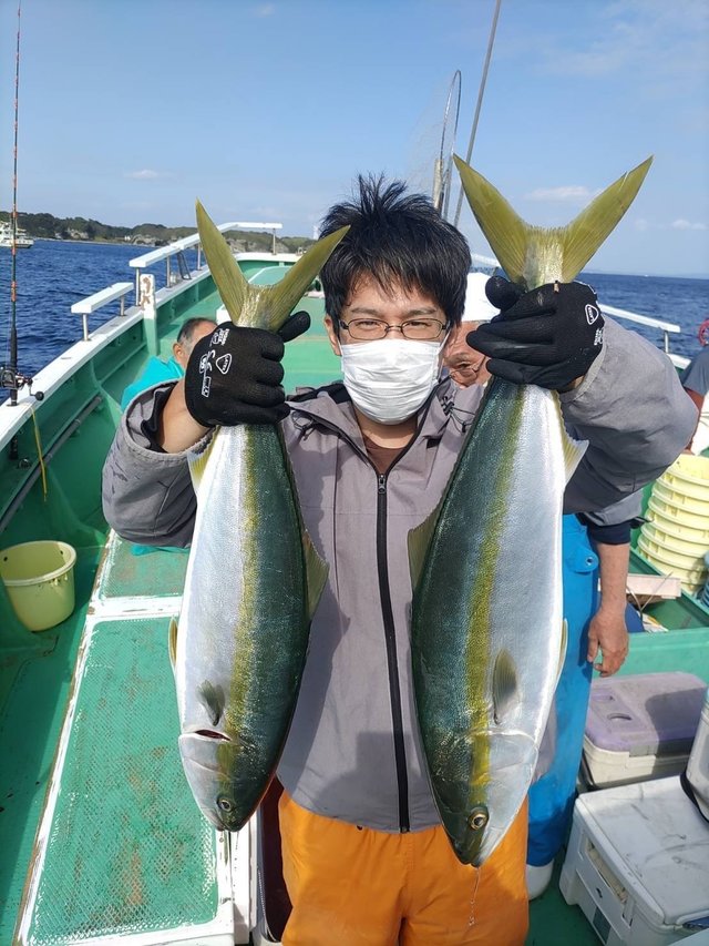 ワラサ(ブリ)