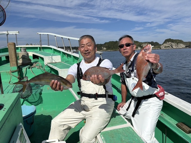 マダイ