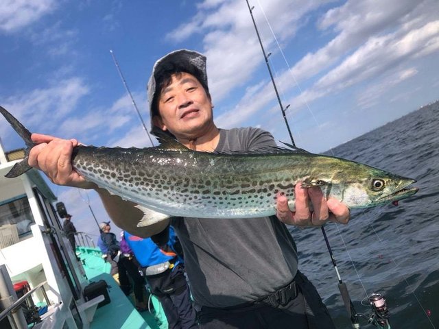 サワラ