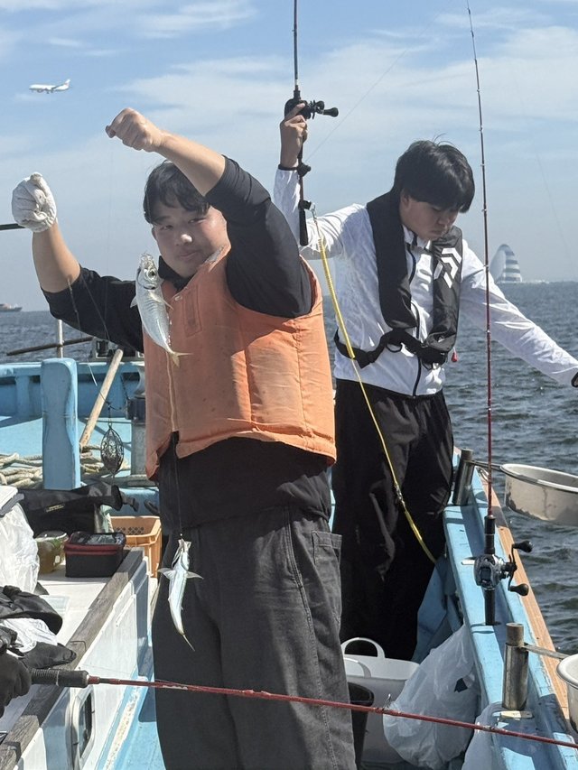 アジ(マアジ)