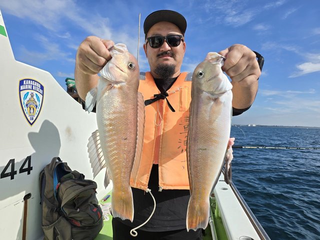 シロアマダイ