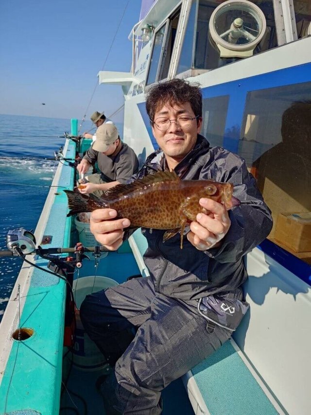 オオモンハタ