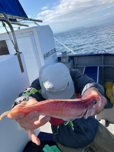 アマダイ(アカアマダイ)