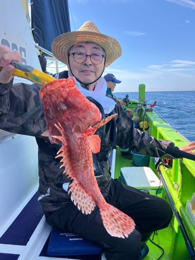 オニカサゴ