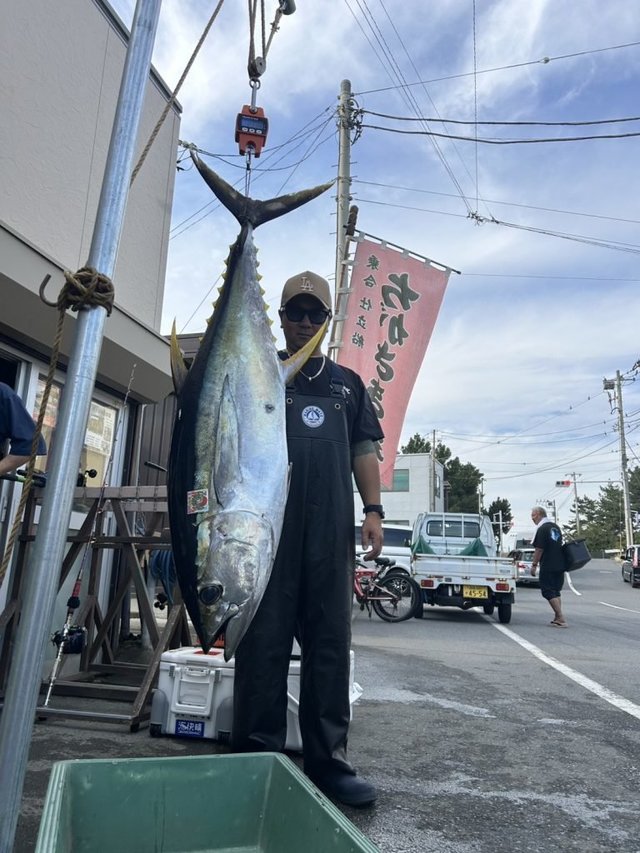 キハダ