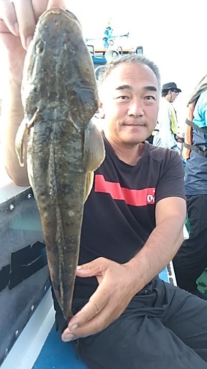 マゴチ