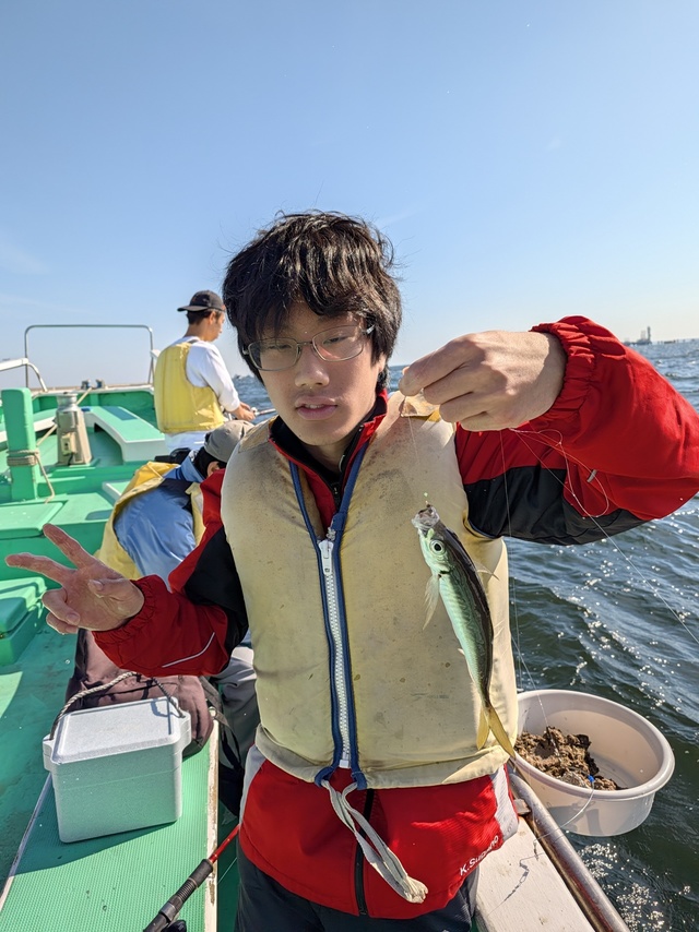 アジ(マアジ)