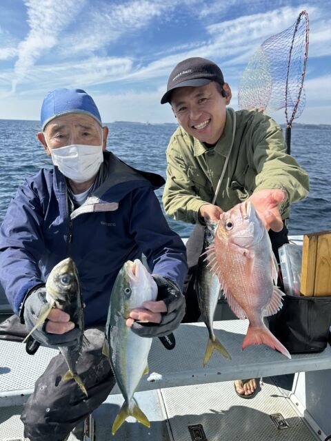 マダイ・イナダ(ブリ)