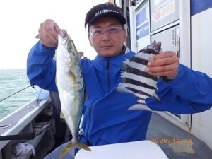 サンバソー(イシダイ)・ツバス(ブリ)