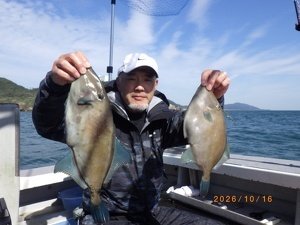 ウマヅラ(ウマヅラハギ)